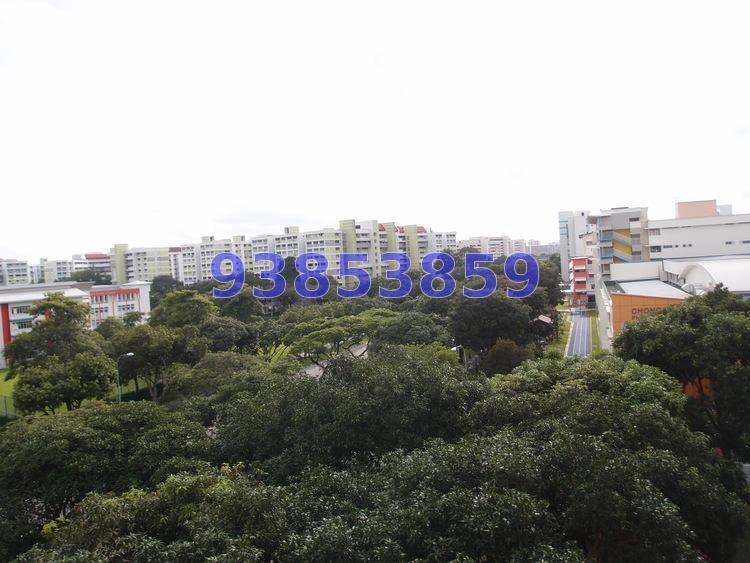 Blk 206 Tampines Street 21 (Tampines), HDB 3 Rooms #161668772